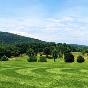 Rolling Hills