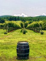 Barrels and Rows